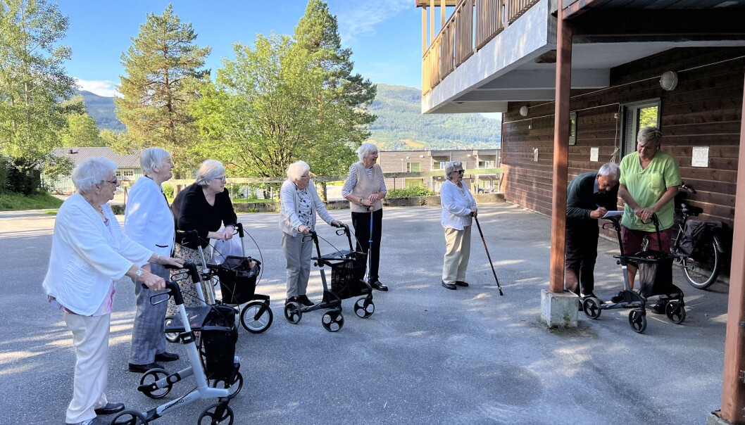 Tirsdagsgjengen oppe ved den ene trimposten. Fra venstre: Gudbjørg Grimsmo, Brit Grenstadbakk, Jorunn Ness, Karen Aarnes, Gullborg Kvande, Ingrid Ørsal Todalshaug, Oddmund Holtan og Sissel Krangnes. Tirsdagsgjengen oppe ved den ene trimposten. Fra venstre: Gudbjørg Grimsmo, Brit Grenstadbakk, Jorunn Ness, Karen Aarnes, Gullborg Kvande, Ingrid Ørsal Todalshaug, Oddmund Holtan og Sissel Krangnes.