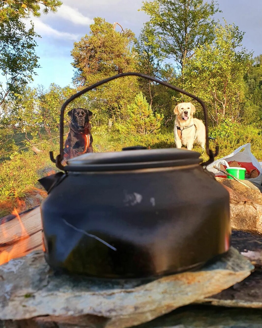 Hva er vel bedre enn en tur i marka,ved et fjellvann,med bålkaffe,en god venninne og to hunder som elsker å være med på tur?! 😍 Hva er vel bedre enn en tur i marka,ved et fjellvann,med bålkaffe,en god venninne og to hunder som elsker å være med på tur?! 😍