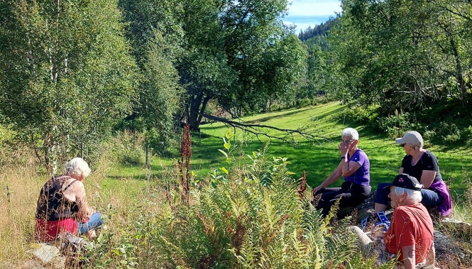 Så fin en plass