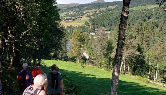 På tur ned med utsikt over bukta På tur ned med utsikt over bukta