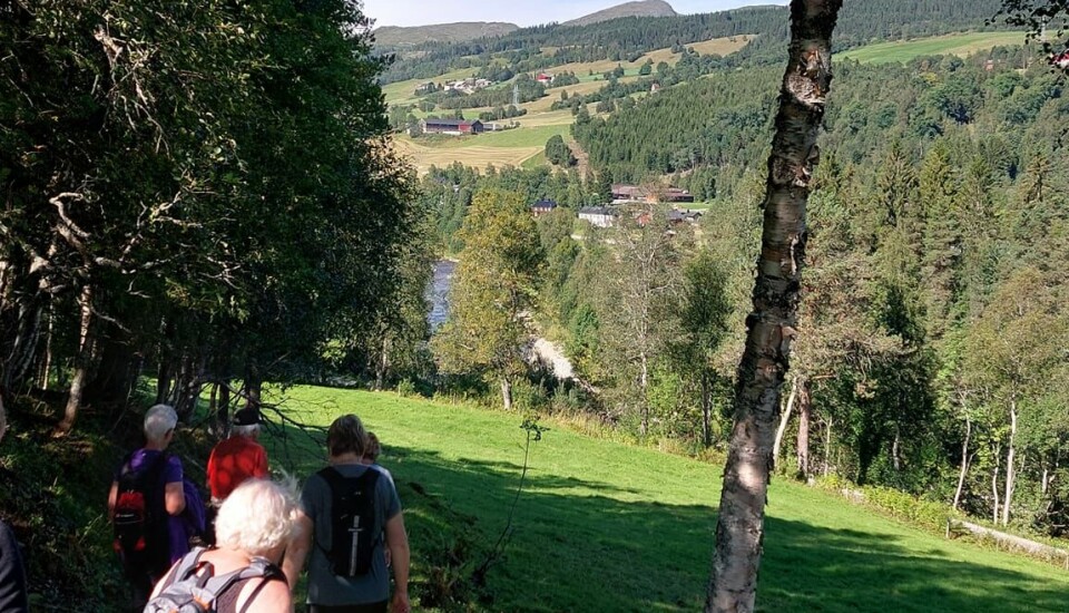 På tur ned med utsikt over bukta