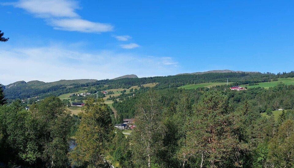 Ser mot Løfaldgardene, og litt av Liagrenda