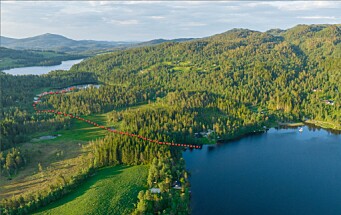Rindal kommune - ta grep om restaurering av natur