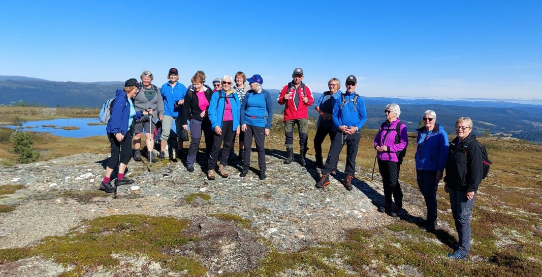 Oppå Litjfjellet, retning Løkken. Oppå Litjfjellet, retning Løkken.