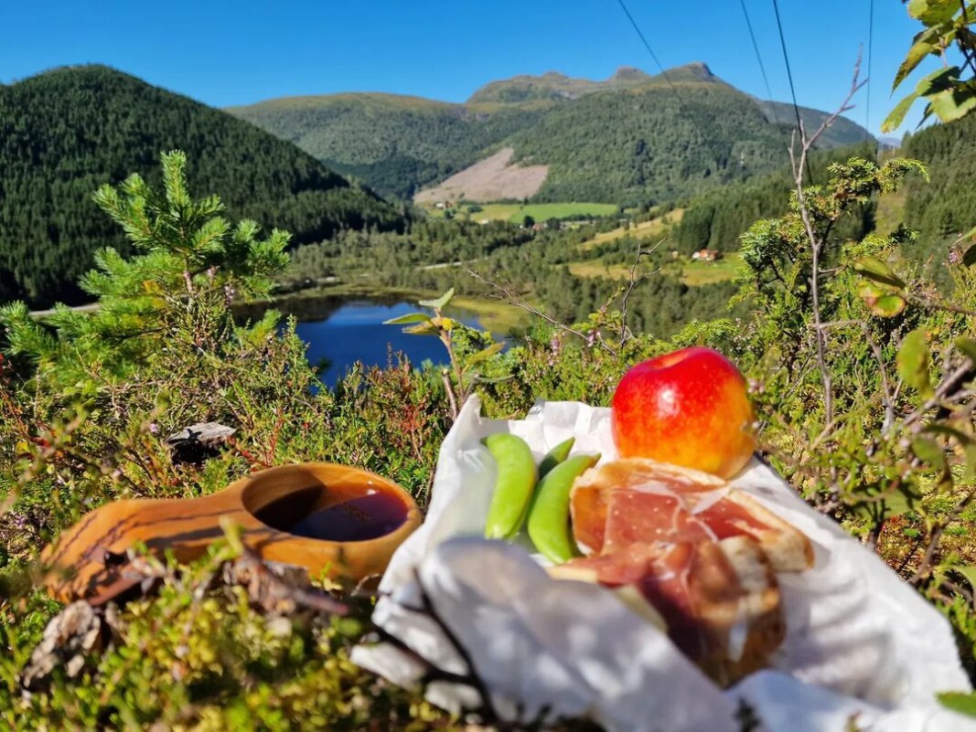 Så et høsten her #settemsdalen Så et høsten her #settemsdalen