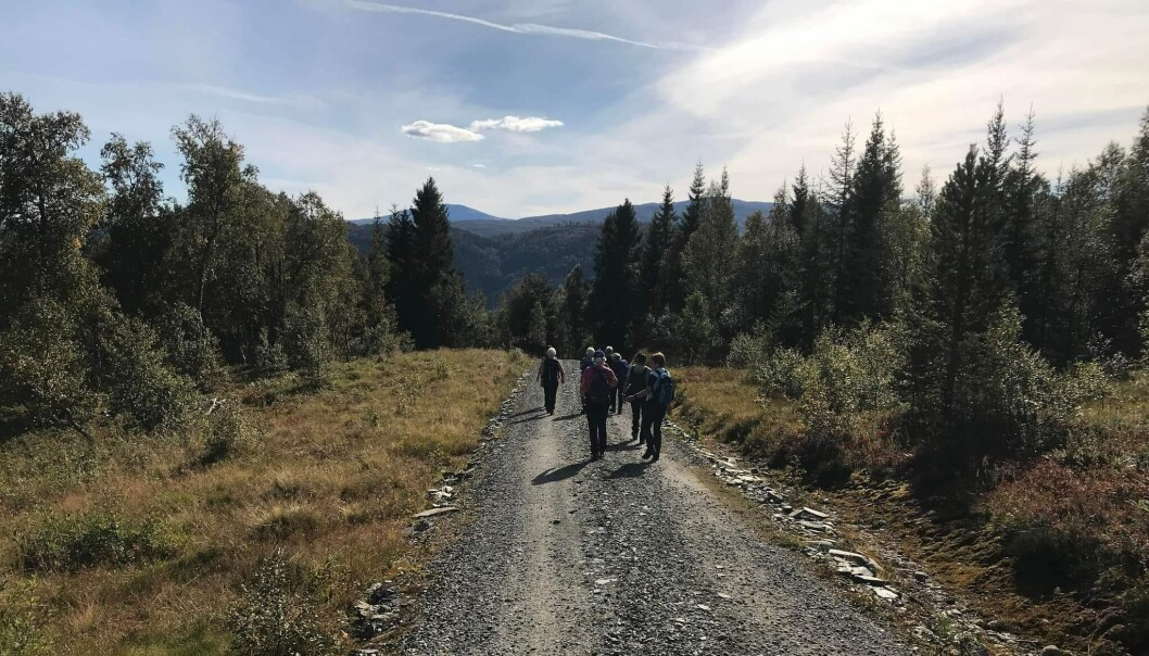 Fin vei og fint turvær. Fin vei og fint turvær.
