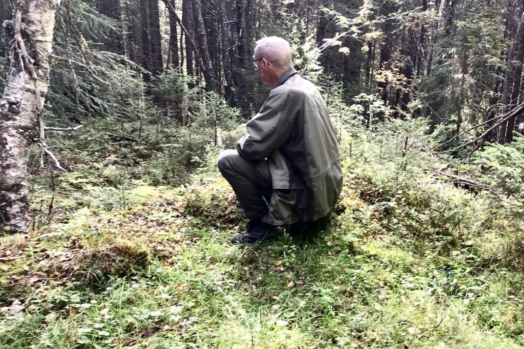 Magnar fortalte historien frå nybrottsbruka Østre og Ytre Norvold. Vi ser tydelig tuftene etter østre Nordvoll. Magnar fortalte historien frå nybrottsbruka Østre og Ytre Norvold. Vi ser tydelig tuftene etter østre Nordvoll.