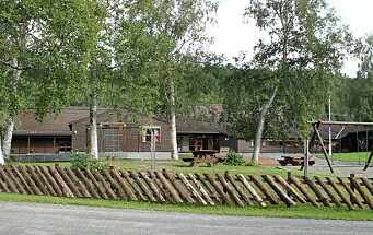 Refleksjon rundt ansattes kjønns­fordeling i barne­hagene i Rindal Kommune - undrende forelder