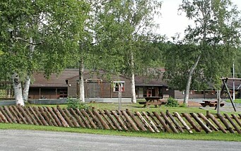 Refleksjon rundt ansattes kjønns­fordeling i barne­hagene i Rindal Kommune - undrende forelder