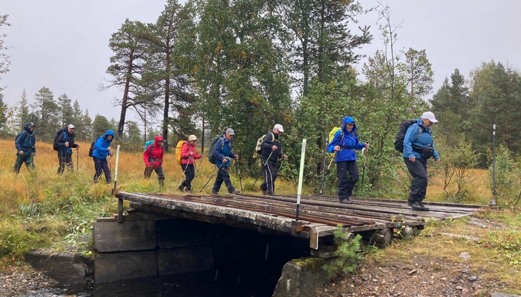 Oppmøtet var ikke det aller beste, men ti glade vandrere passerte brua over Langvassbekken i godt humør.