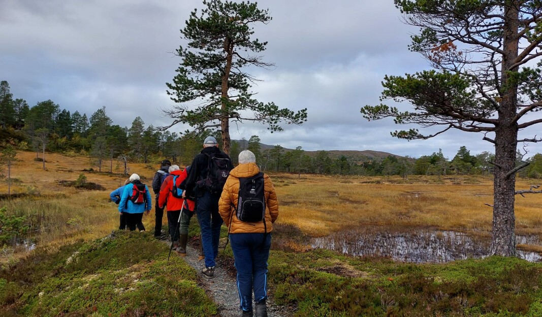 På rekke og rad. På rekke og rad.
