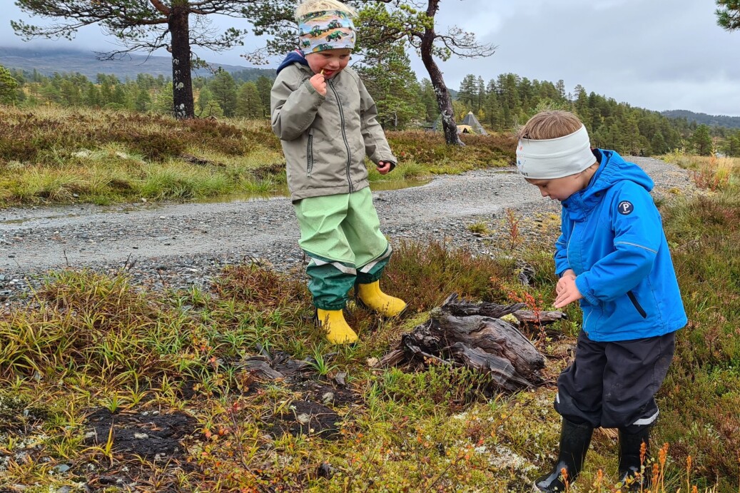Opplevingane av troll inne i lavvoen er det ikkje så godt å legge bak seg på vegen heim. Desse karane fann trollstein i vegen, og er det ikkje eit troll som ligg i vegkanten? Opplevingane av troll inne i lavvoen er det ikkje så godt å legge bak seg på vegen heim. Desse karane fann trollstein i vegen, og er det ikkje eit troll som ligg i vegkanten?