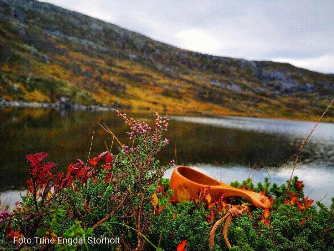 .. Og om litt er kaffen klar ☕ Høst ved Kudalsvatnet i Vindøldalen 🍁🍂 .. Og om litt er kaffen klar ☕ Høst ved Kudalsvatnet i Vindøldalen 🍁🍂