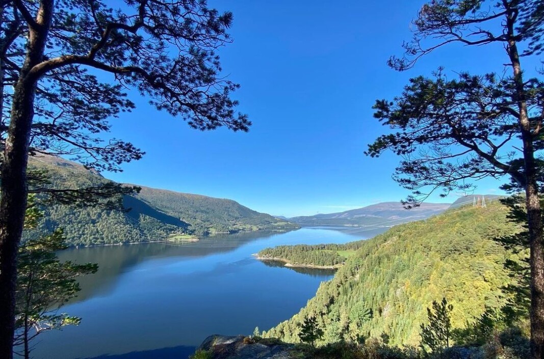 Endelig en soldag etter regn 😎☀️🍁 Endelig en soldag etter regn 😎☀️🍁