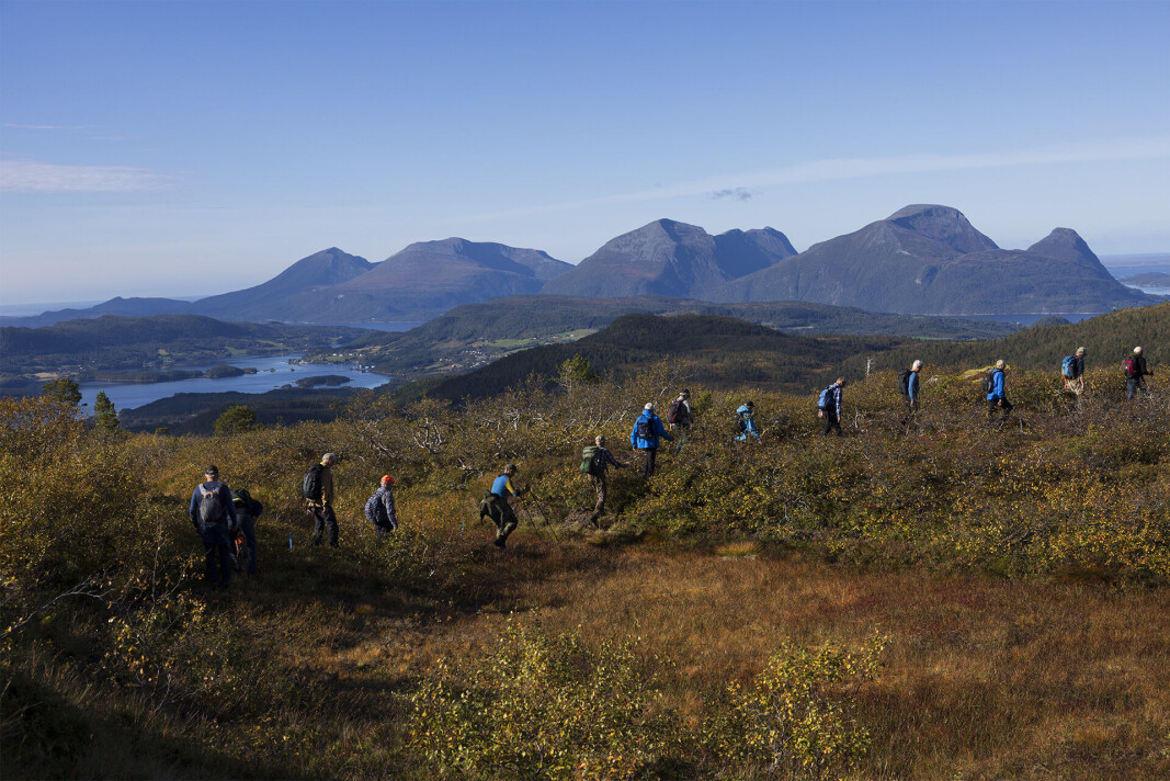 Ein lang og overlag fin fjelltur for alle 18. Ein lang og overlag fin fjelltur for alle 18.