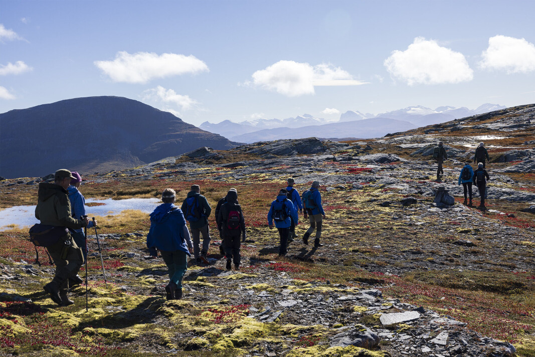 Vidt og lett terreng oppå Blåfjellet. Vidt og lett terreng oppå Blåfjellet.