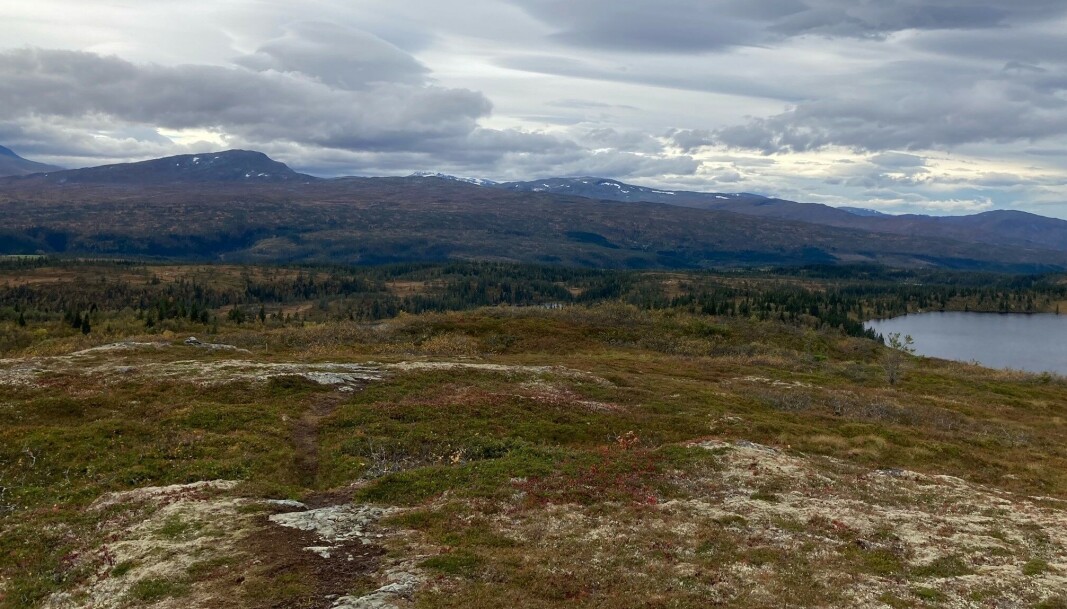 Nysnøen som kom i trollheimsfjella for en uke siden var borte no. Nysnøen som kom i trollheimsfjella for en uke siden var borte no.