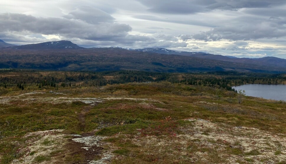 Nysnøen som kom i trollheimsfjella for en uke siden var borte no. Nysnøen som kom i trollheimsfjella for en uke siden var borte no.