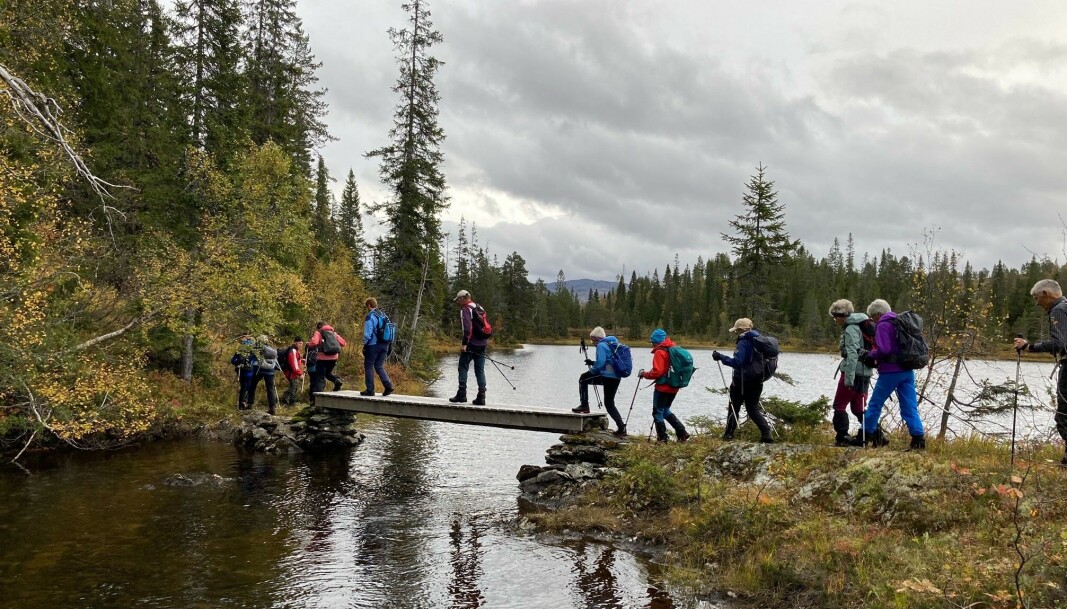 Passerte mange broer og vatn på turen. Passerte mange broer og vatn på turen.