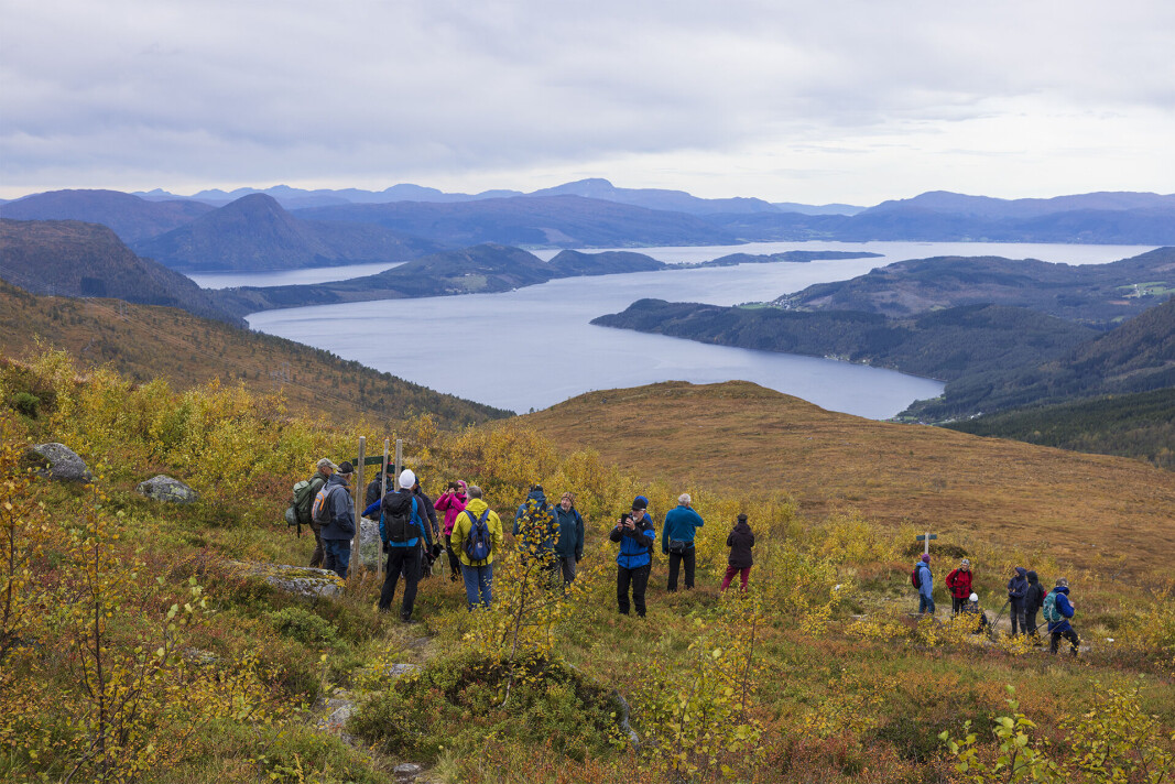 Fin utsikt til Stangvikfjorden og Neslandet. Fin utsikt til Stangvikfjorden og Neslandet.