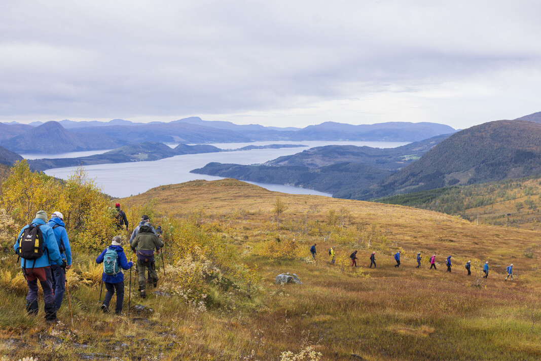 I lang rekke på tur ned til Nordviksetra. I lang rekke på tur ned til Nordviksetra.