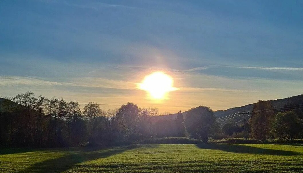 Må nyte siste rest av sola🌞👍 Må nyte siste rest av sola🌞👍