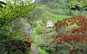Haustope i Svinviks arboret, med foredrag og kunstutstilling