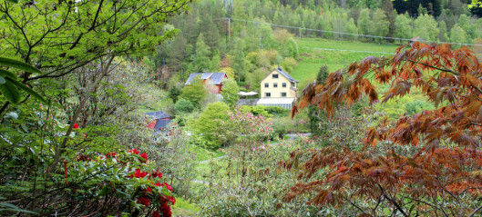 Haustope i Svinviks arboret, med foredrag og kunstutstilling