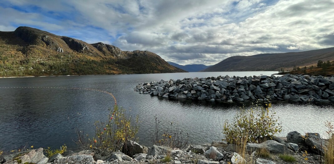 Gråsjøen er nesten oppe på normal vannstand igjen.