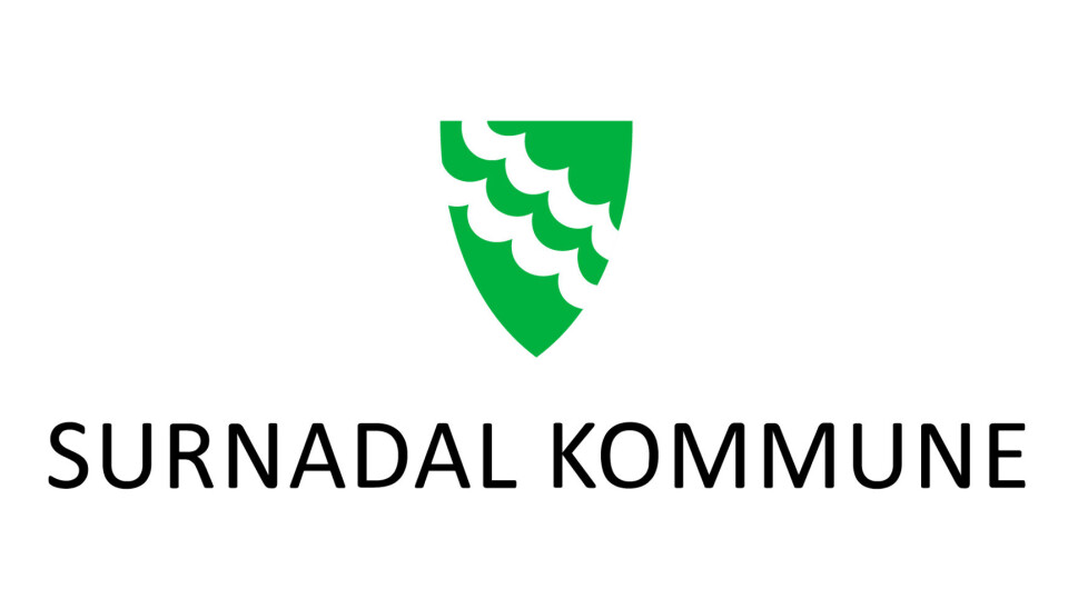 Surnadal open - Kunstnatt Logoen til Surnadal kommune