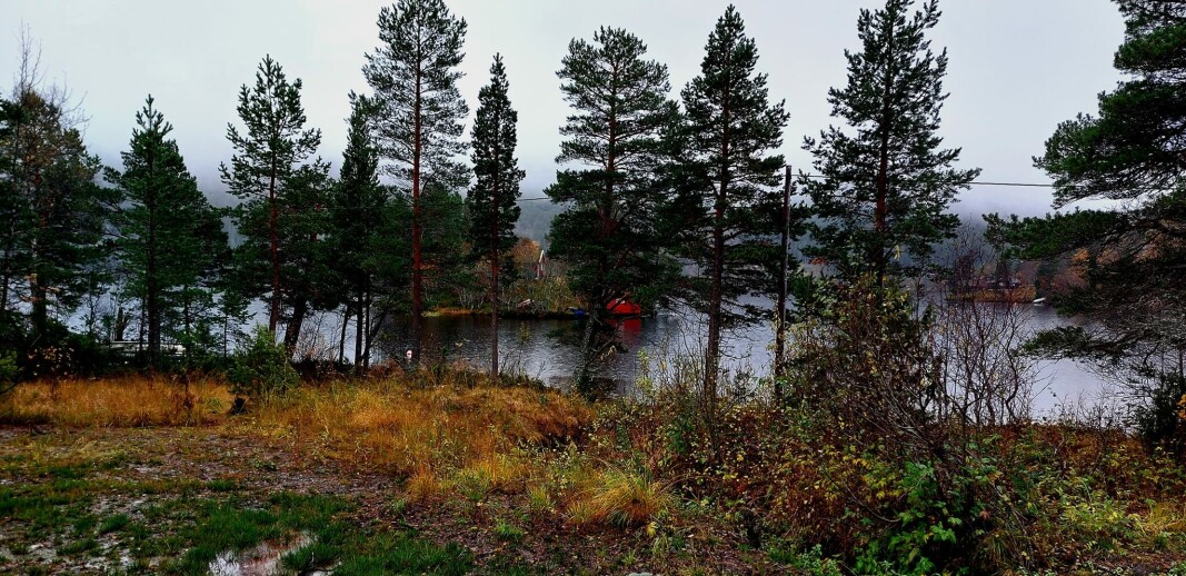Idyll. Idyll.