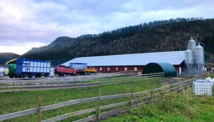 Fellesfjøset med over 200 kyr i Bøverdalen får geistleg besøk.