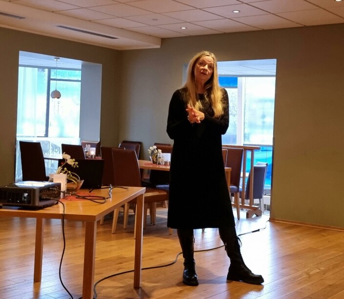 Anne Lise Wullum fortel om den planlagde aktivitetsparken i Sæterlia Anne Lise Wullum fortel om den planlagde aktivitetsparken i Sæterlia