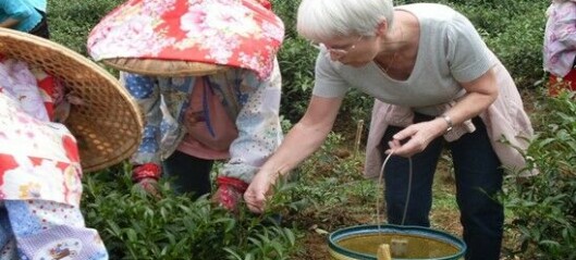 Rindal pensjonistlag inviterer til teselskap med kinesisk atmosfære på Åpen dag