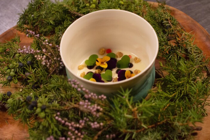Råmelkspudding laget av melk fra Rindal. Råmelkspudding laget av melk fra Rindal.