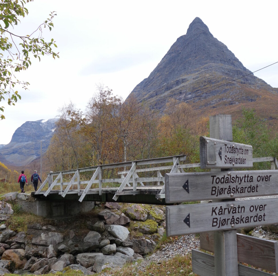 Mellom Renndølsetra og Innerdalshytta renn Renndøla ut i Innerdalsvatna, her går turistlina til Todalshytta og Kårvatn via Bjøråskaret.