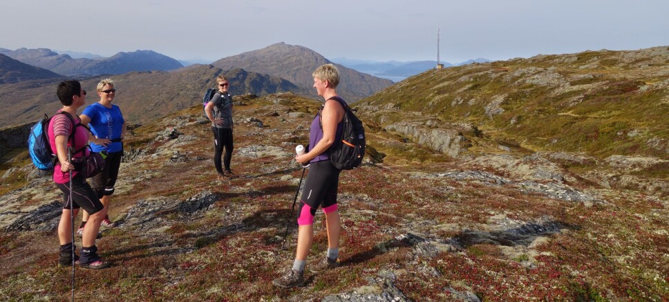 Tupptausene på veg til Bollen, i bakgrunnen sjer vi Honnstadknyken og vi masta på Bollen. Tupptausene er Siv Bakken, Aud Gunvor Helgetun, Ingrid Glåmen og Kari Mette Skjølsvold.