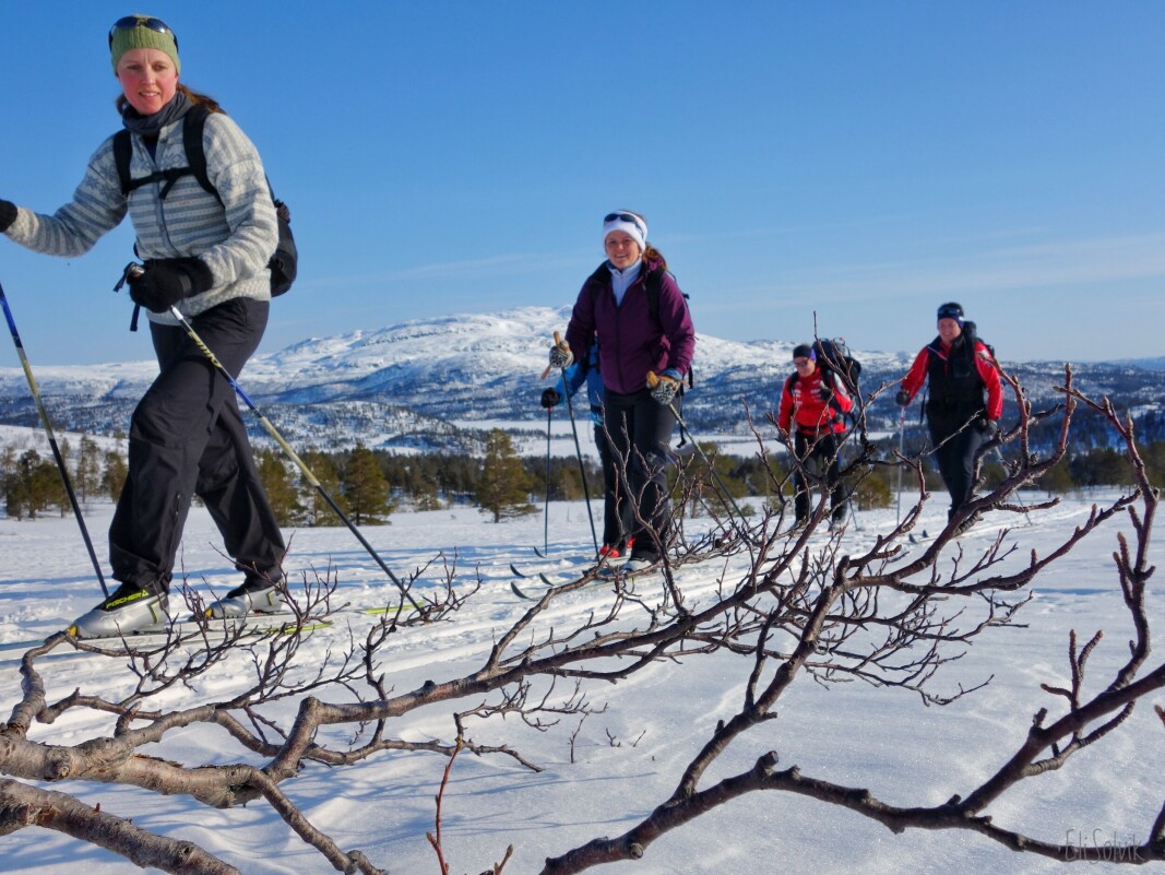 På tur opp frå Raudfjelløyan mot Raudfjelltjønna, Resvatnet i bakgrunnen. På tur opp frå Raudfjelløyan mot Raudfjelltjønna, Resvatnet i bakgrunnen.