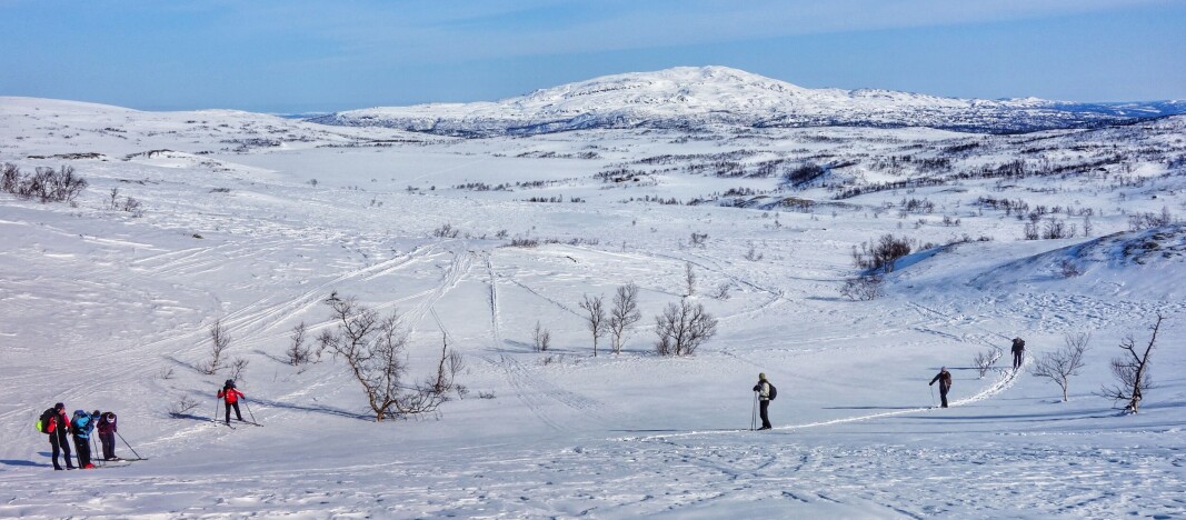Opp mot Skaret med Raudfjelltjønna og Resfjellet i bakgrunnen. Opp mot Skaret med Raudfjelltjønna og Resfjellet i bakgrunnen.