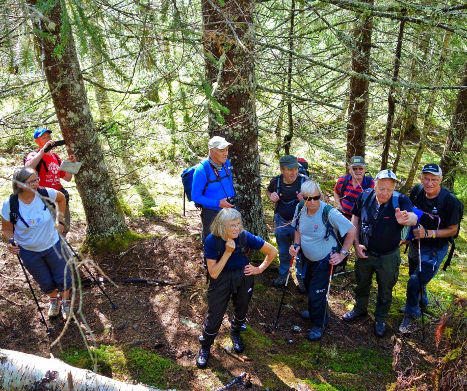 Rindalingar beundrar størrelsen på rotvelta. F.v. Lisbet Stenbro, Harald Solvik, Harald Egil Folden Margret Meland, Magne Bakken Sigmund Røen, Nils Bjørnstad, Helge Sæter og Kjell Stenbro.