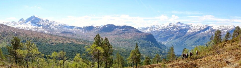 Flott utsikt mot Trollheimen og Todalsfjorden når ein kjem over tregrensa.
