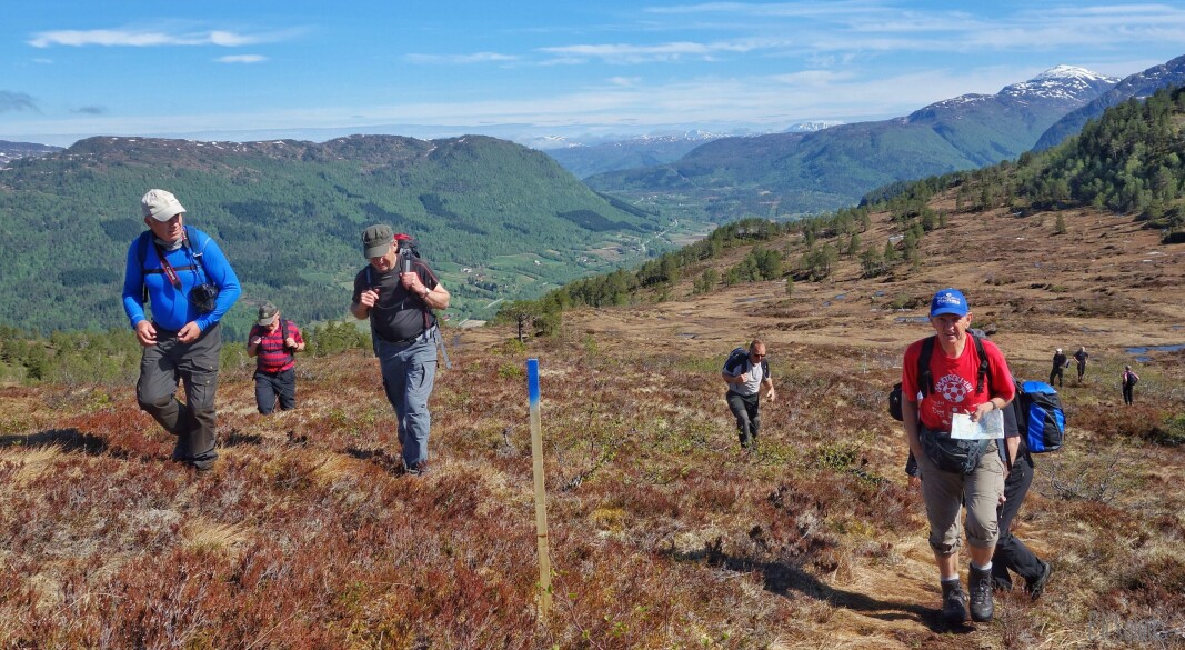Etter stien har du også utsikt nordaust mot Skeisnebba, Honnstadknyken og Åsen der spørsmålsbilde var teke frå. Etter stien har du også utsikt nordaust mot Skeisnebba, Honnstadknyken og Åsen der spørsmålsbilde var teke frå.