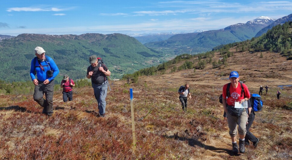 Etter stien har du også utsikt nordaust mot Skeisnebba, Honnstadknyken og Åsen der spørsmålsbilde var teke frå.