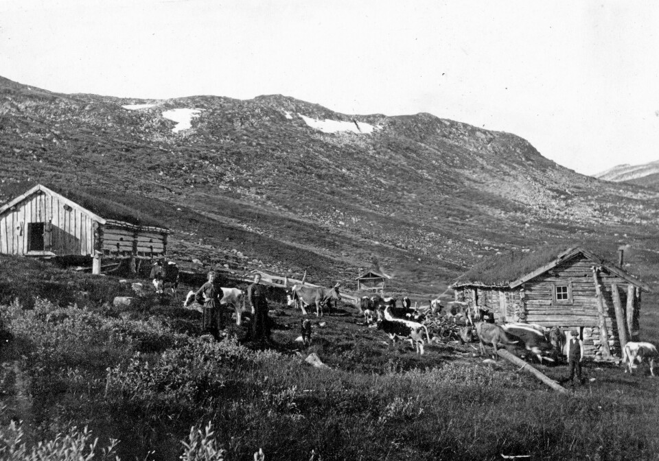 Helgetunholtsetra ca 1920. John H. Helgetun, Gjertrud Helgetun, ukjent.