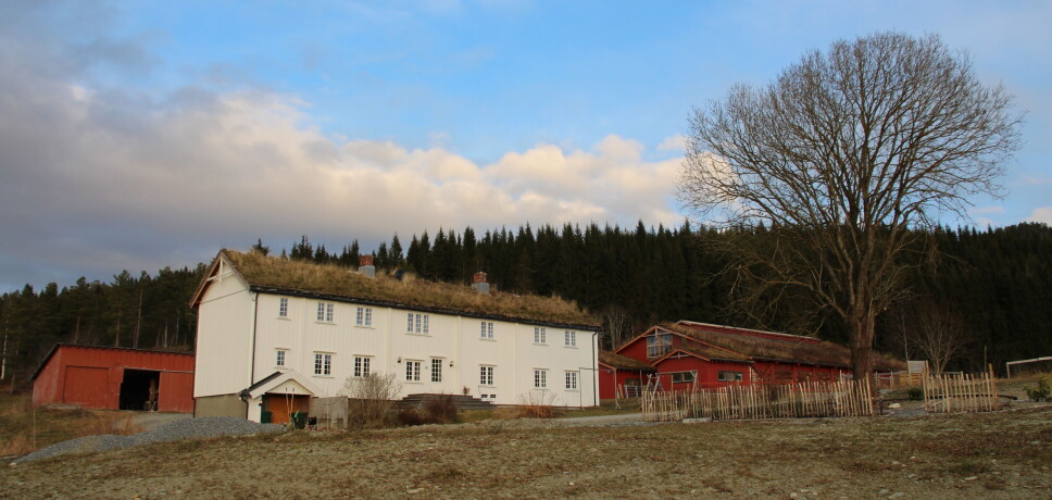 Landsem Utistu etter at gammelfjøset vart reve. Garden fekk nytt fjøs for ti år sia. På Austistu er det også satt opp nytt fjøs ganske nylig. Bak trønderlåna skimtar du det berømte redskapshuset.