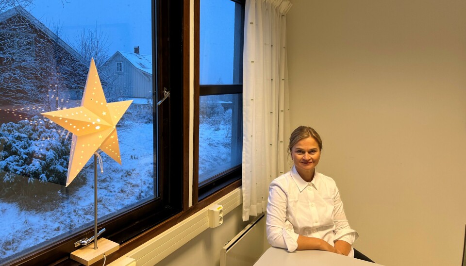 Svinvik ser optimistisk på fremtiden i Surnadal