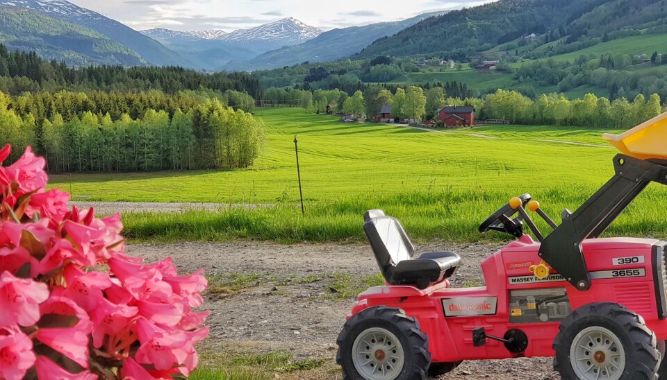 Frå Landsem Utistu er det god utsikt nedover Rindalen, Surnadalen og Honnstadknyken.
