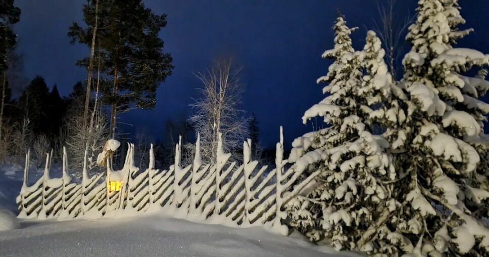 Vinter og førjulstid ❄️ Snø og kulde ❄️ Akkurat slik vi ønsker denne tida skal være ❄️ Vinter og førjulstid ❄️ Snø og kulde ❄️ Akkurat slik vi ønsker denne tida skal være ❄️