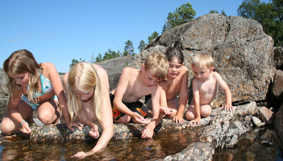 På jakt etter rumpetroll juli 2006. F.v: Emilie Faksvåg Larsen, Helen og Eirik Kjønsø Solvik, Erlend Faksvåg Larsen og Håvard Hyldbakk Solvik.