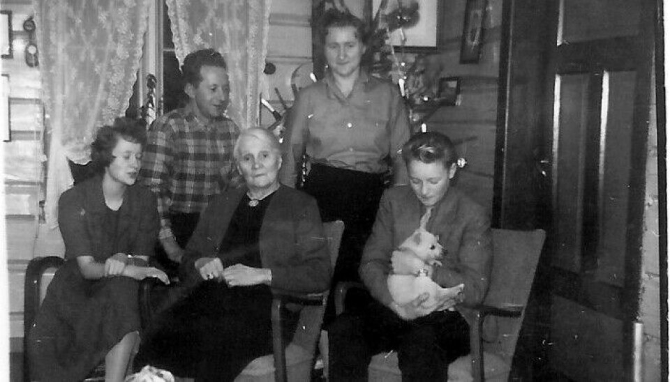 Ved juletreet er eg, far Peder Melhus, mor Målfrid og bror Jon. Stebestemor mi Inga Øye sitt i midten. Hunden heiter Stella og er ein buhund som far akkurat har kome heim med, overraskande, frå søskenbarnet sitt Ola Ranes i prestegarden. Hunden vart snart alles yndling sjølv om mor mi mange gonger tidlegare sa, når vi masa om hund, at «kjem det hund de gards så reiser eg». Ved juletreet er eg, far Peder Melhus, mor Målfrid og bror Jon. Stebestemor mi Inga Øye sitt i midten. Hunden heiter Stella og er ein buhund som far akkurat har kome heim med, overraskande, frå søskenbarnet sitt Ola Ranes i prestegarden. Hunden vart snart alles yndling sjølv om mor mi mange gonger tidlegare sa, når vi masa om hund, at «kjem det hund de gards så reiser eg».